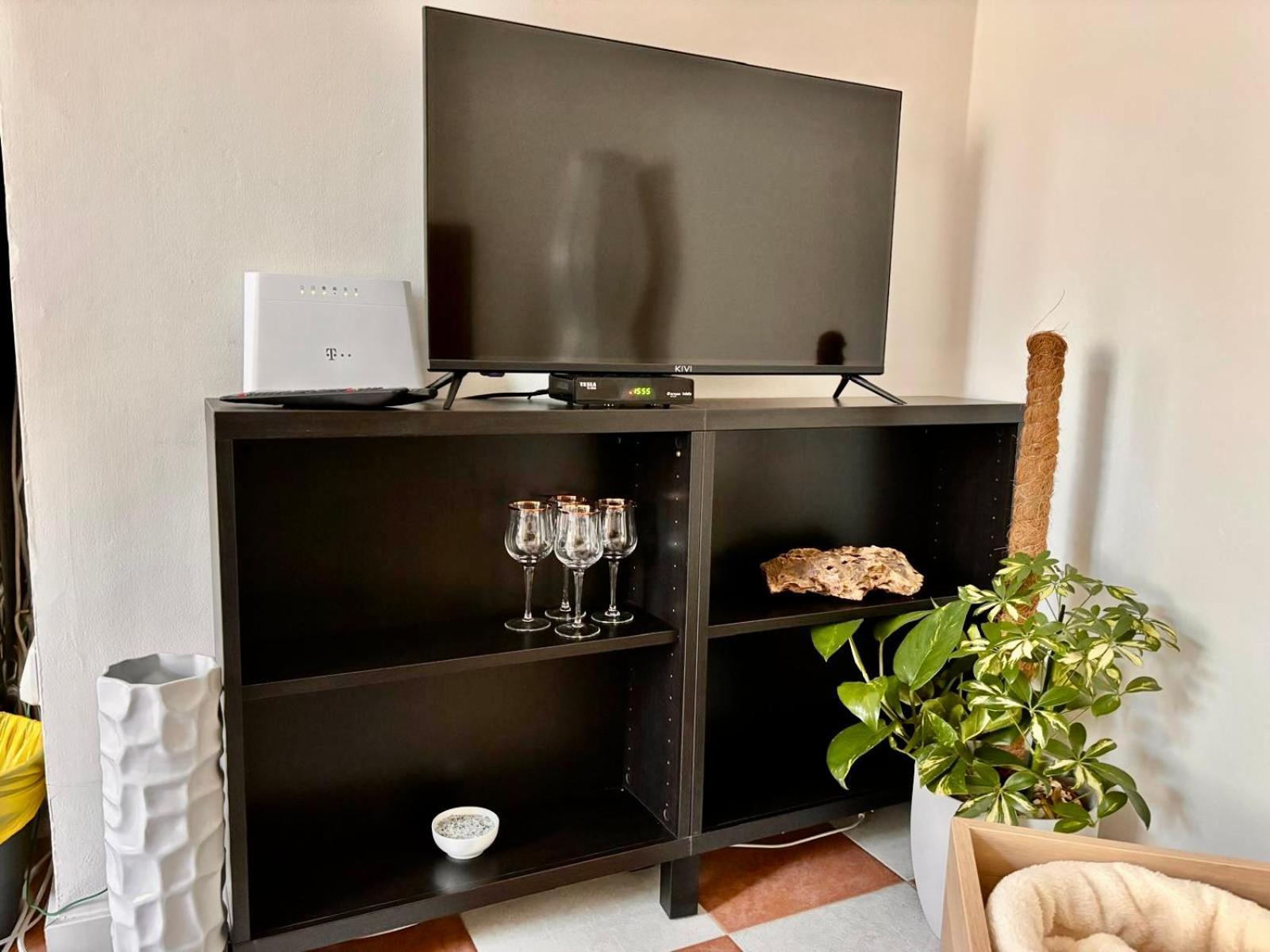 Apartment Olivova *